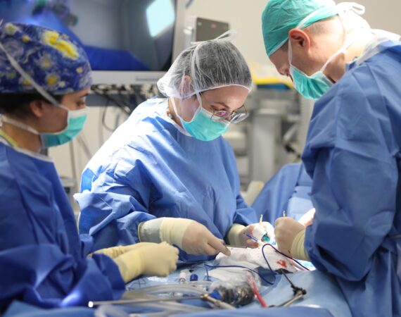 Magenetic Surgery